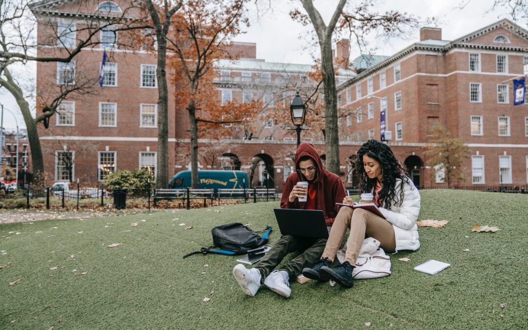 College students studying on quad