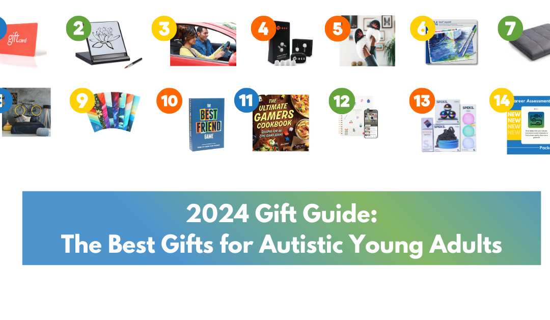 2024 gift guide for autistic young adults