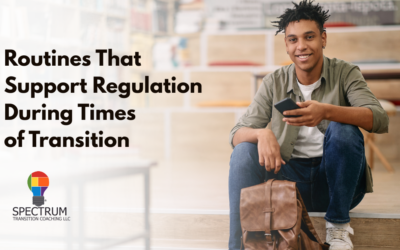 Routines That Support Regulation During Transitions